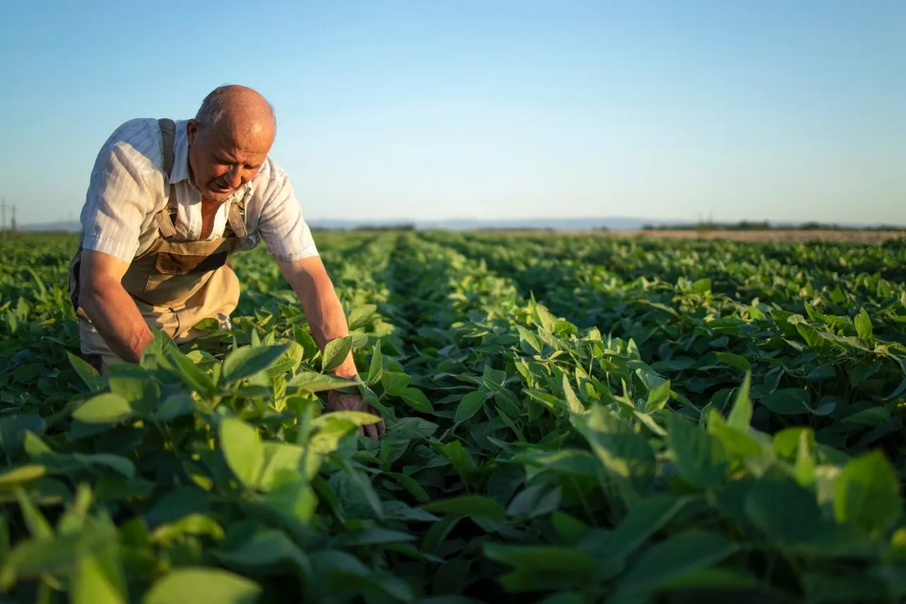 Crop Nutrition Support